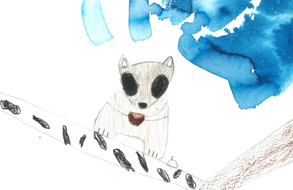 A flying squirrel is sitting in a tree in a drawing.